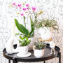 Rotterdam orchidee roze